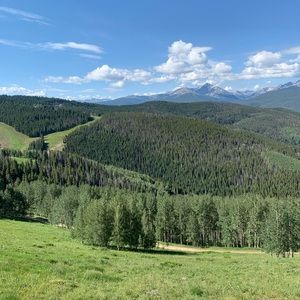 Meet your Posher, Chloe